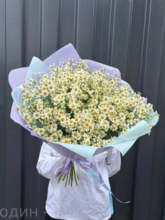 Букет из 25 ромашек
