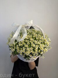 Корзина ромашек