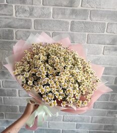 Букет из 25 кустовых ромашек