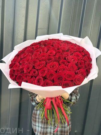 Букет из 101 красной розы (70 см)