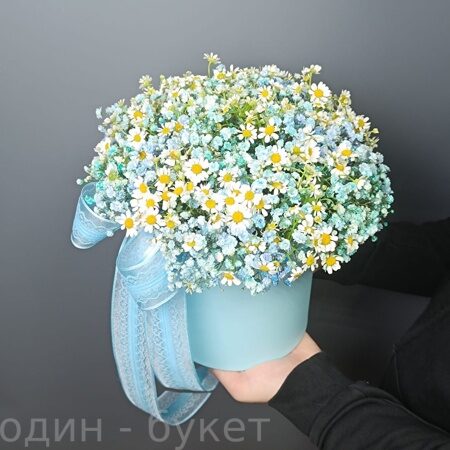 15 ромашек и 5 голубых гипсофил в коробке