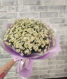 Букет из 25 ромашек