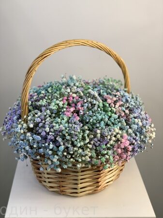 Корзина из 21 радужной гипсофилы