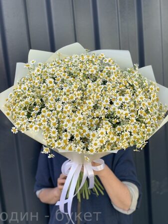 Букет из 51 ромашки
