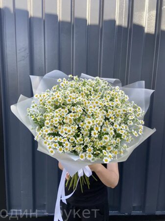 Букет из 39 кустовых ромашек