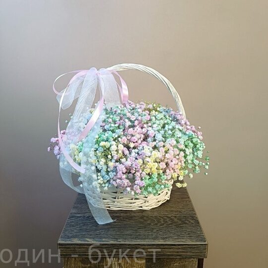 13 радужных гипсофил в корзине