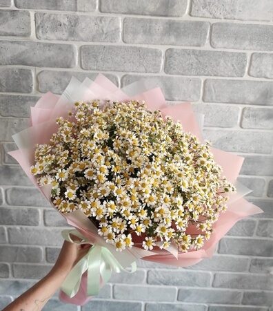 Букет из 25 кустовых ромашек
